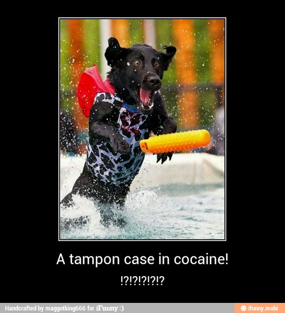 A tampon case in cocaine!
UL ee Led - A tampon case in cocaine!
!?!?!?!?!?