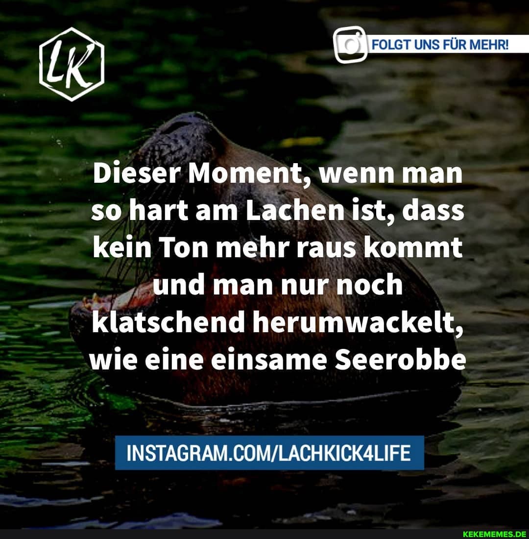{R) FOLGT UNS FÜR MEHR!
Dieser Moment, wenn man so hart am Lachen ist, dass kein Ton mehr raus kommt
'und man nur noch
'klatschend herumwackelt, wie eine einsame Seerobbe