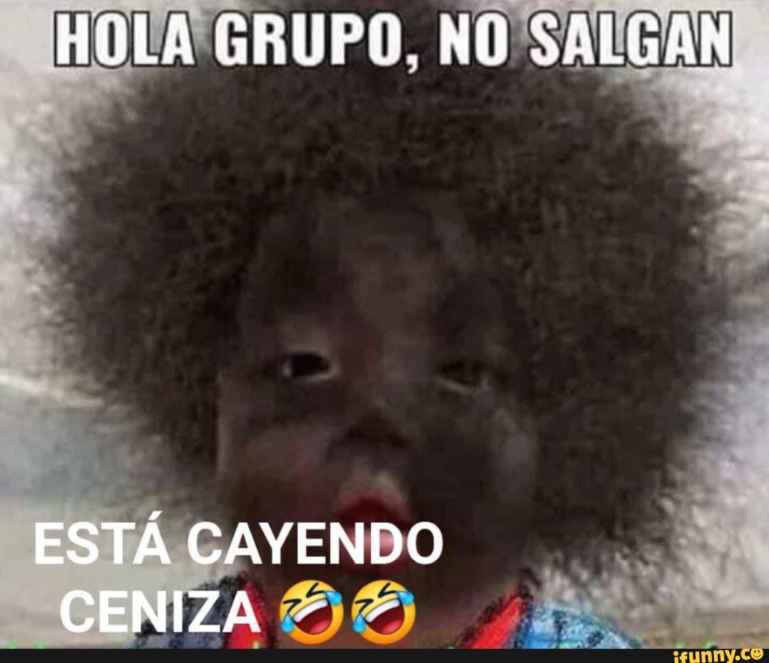 HOLA GRUPO, NO SALGÁN ESTÁ CAYENDO CENIZA - - - iFunny Brazil