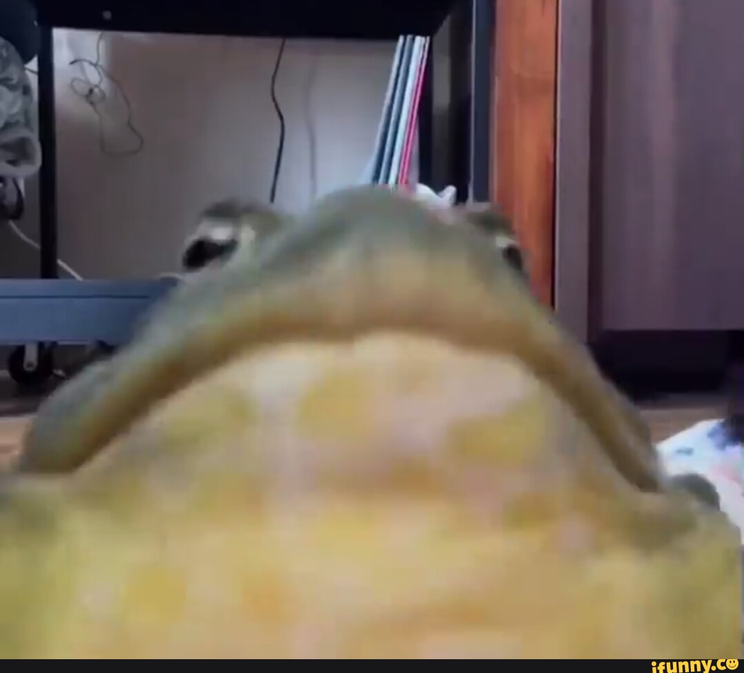 File memes. Best Collection of funny File pictures on iFunny