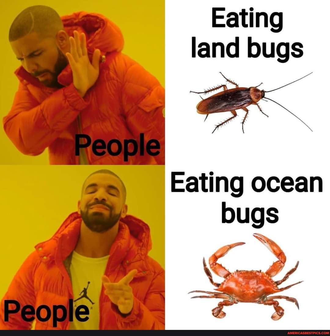 Shrimp are the cockroaches of the sea. - Eating land bugs Eating ocean ...