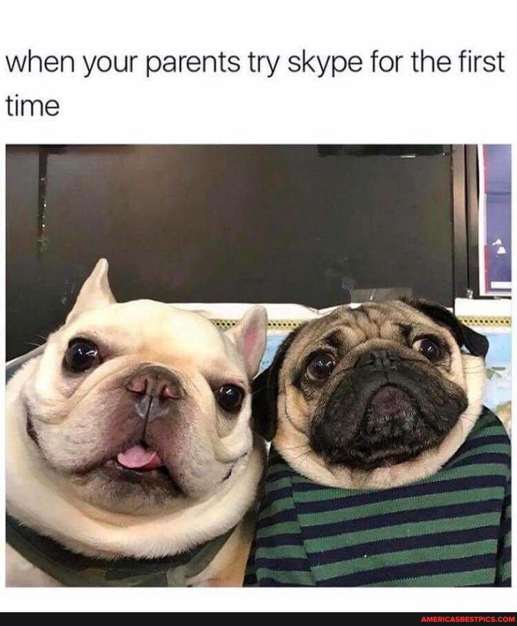 when your parents try skype for the first time