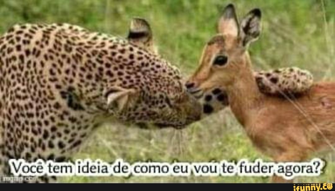 de como eu,vou te
fuder agora?
La É T:
Voce tem ideia
'ME +