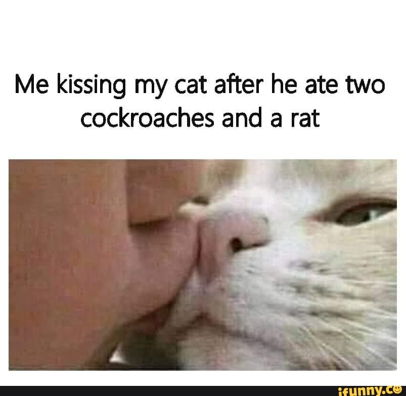 Me kissing my cat after he ate two cockroaches and a rat iFunny