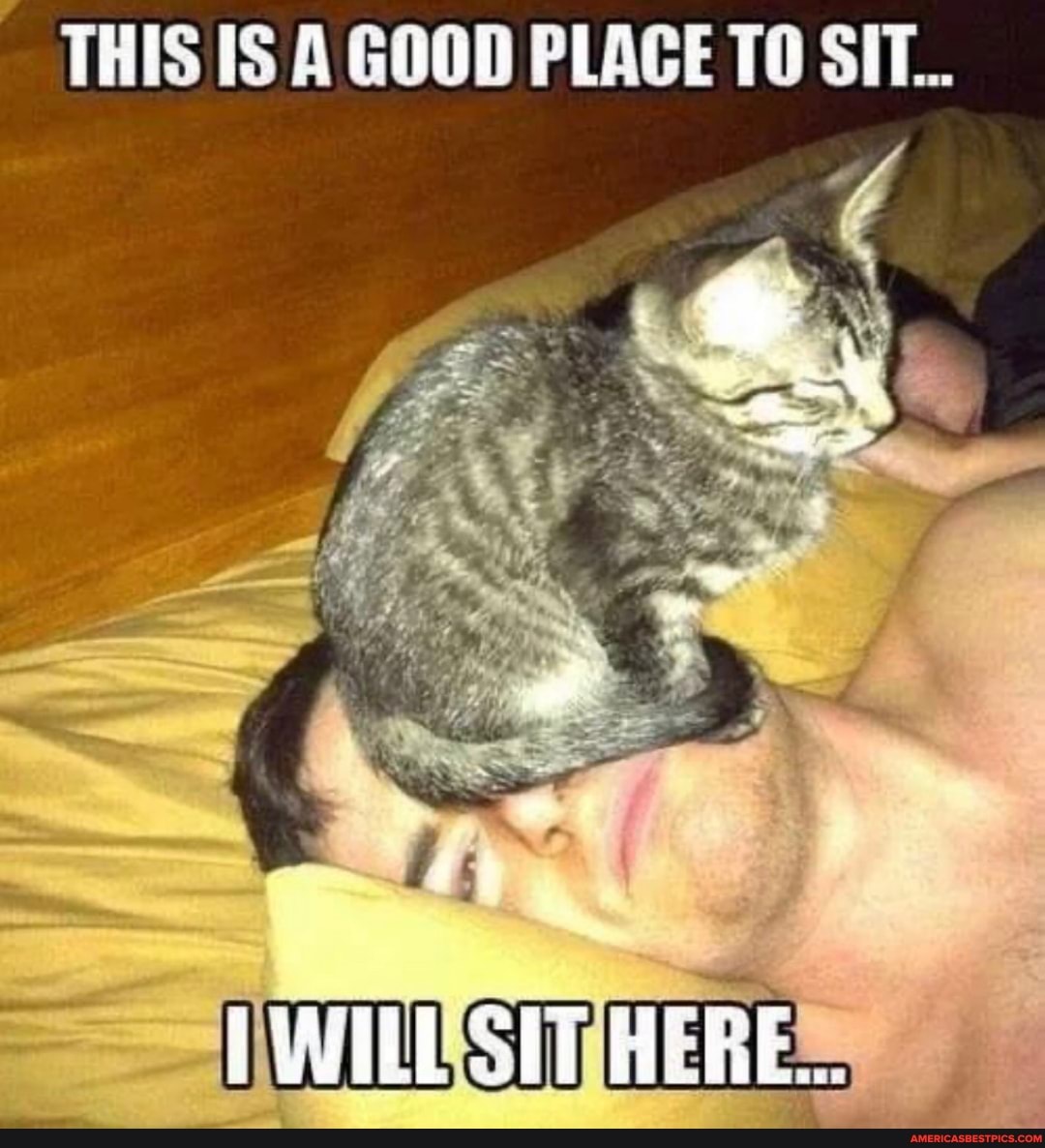 THIS IS A GOOD PLACE TO SIT...