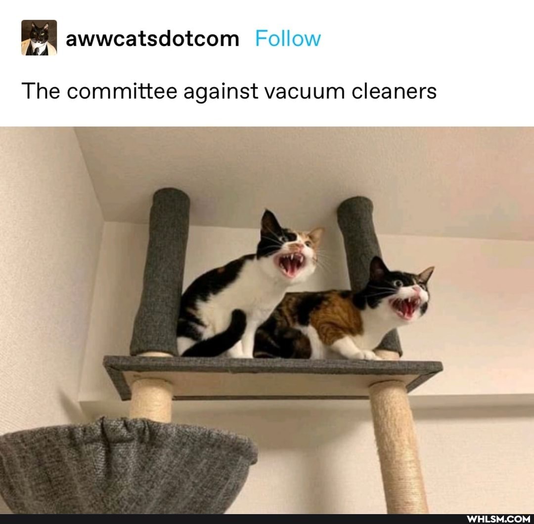 The committee against vacuum cleaners