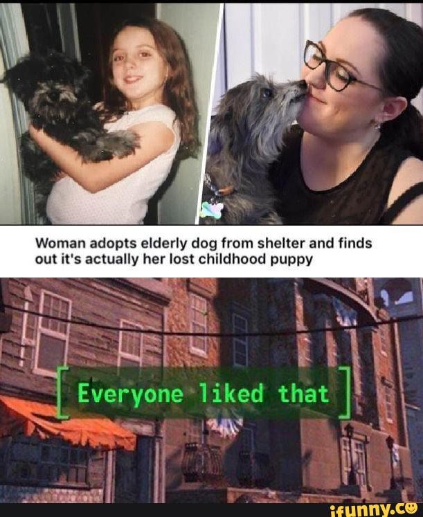 Woman adopts elderly dog from shelter and finds
out it's actually her lost childhood puppy