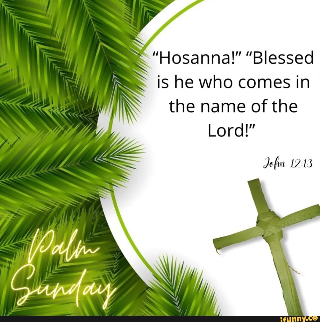 "Hosanna!" "Blessed Is He Who Comes In The Name Of The Lord!" - IFunny