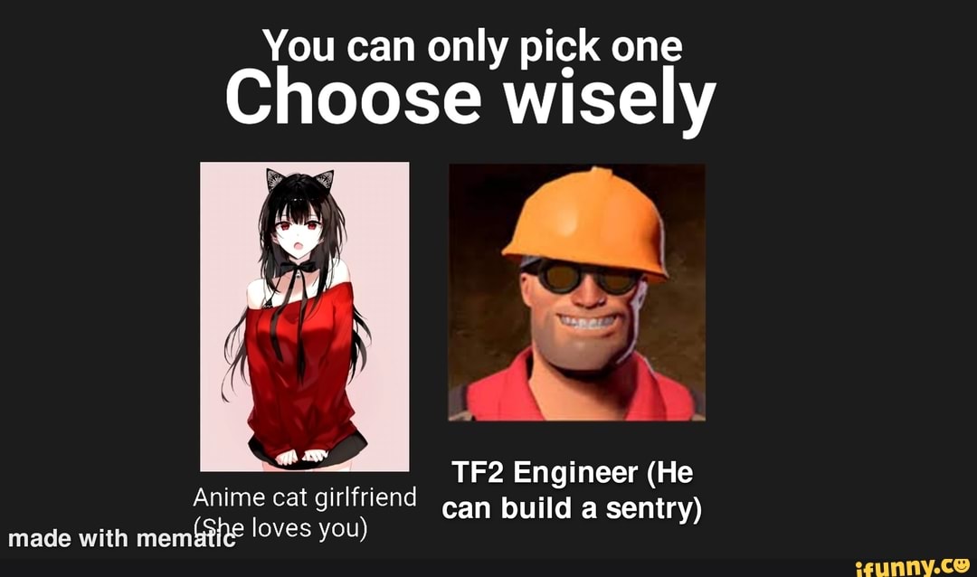 You can only pick one Choose wisely Engineer (He Anime cat girlfriend can  build a sentry) made with (She loves you) 