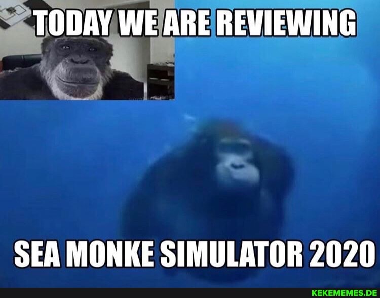 TODAY WE ARE REVIEWING SEA MONKE SIMULATOR 2020