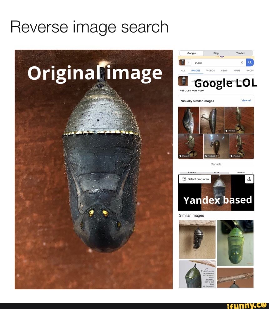 Reverseimagesearch memes. Best Collection of funny Reverseimagesearch ...