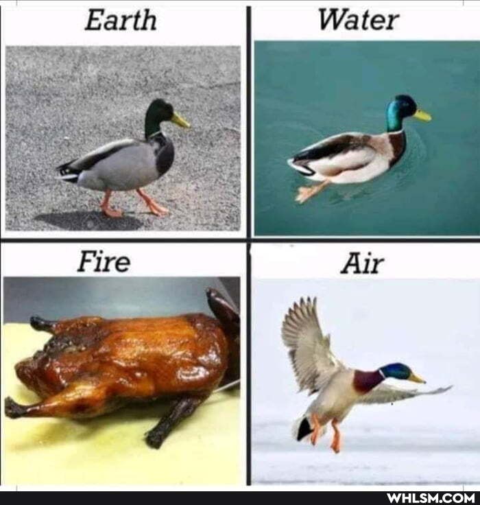 Earth Water