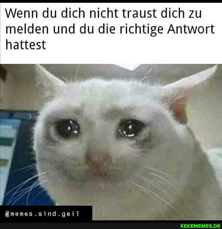 Wenn du dich nicht traust dich zu melden und du die richtige Antwort hattest
@memes.sind.geil