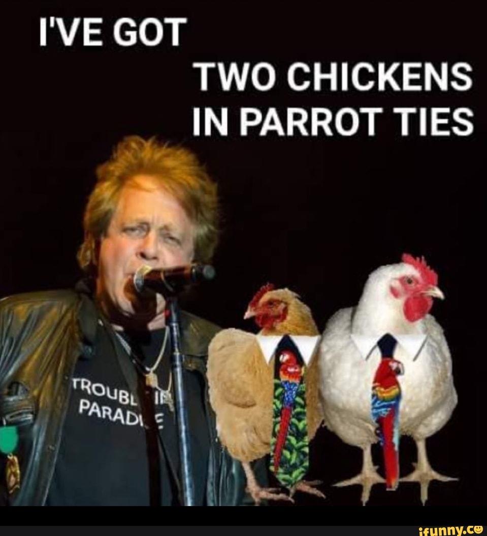 TWO CHICKENS IN PARROT TIES - iFunny