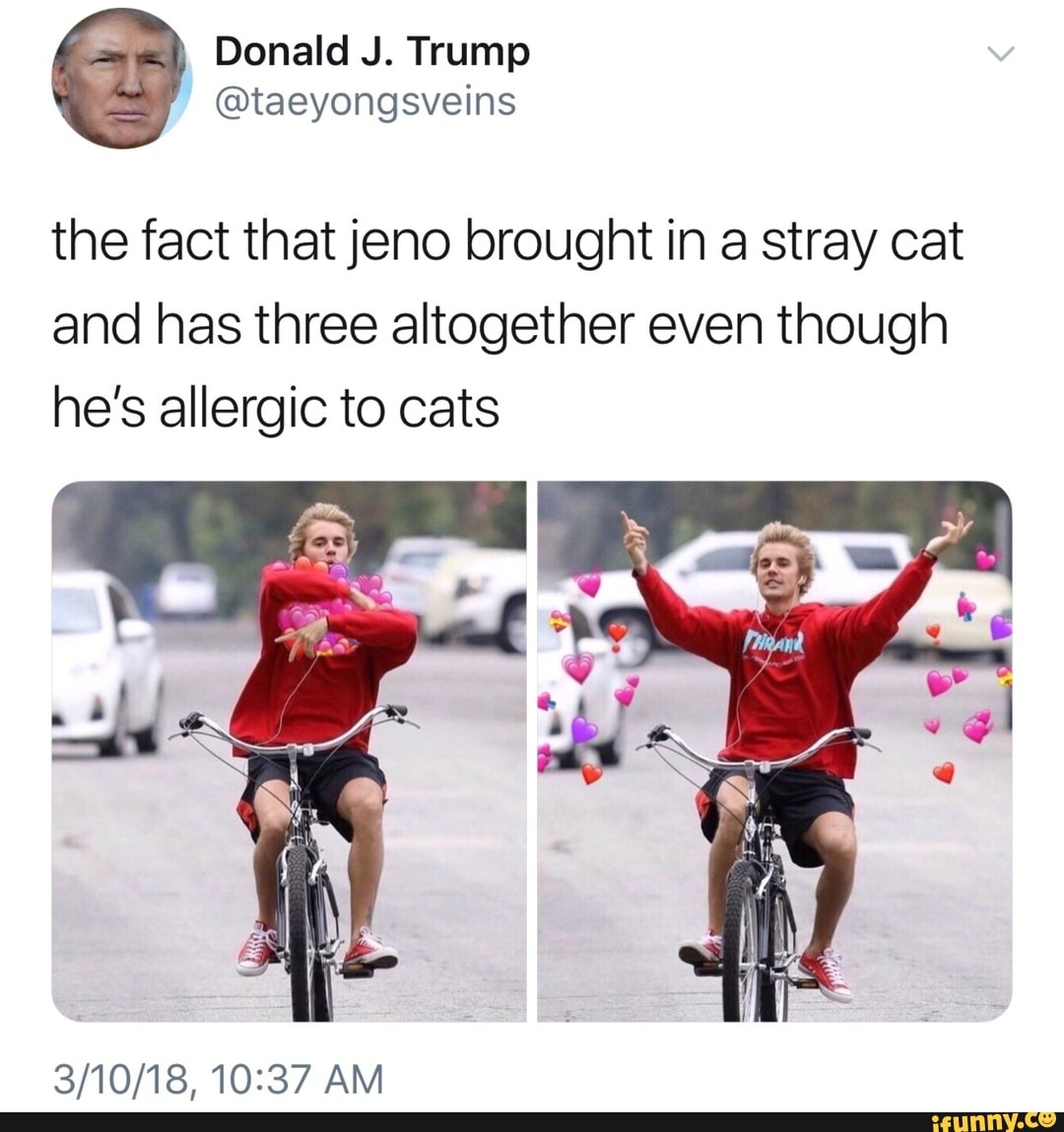 the fact that jeno brought in a stray cat
and has three altogether even though
he’s allergic to cats
3/10/18,10:37 AM