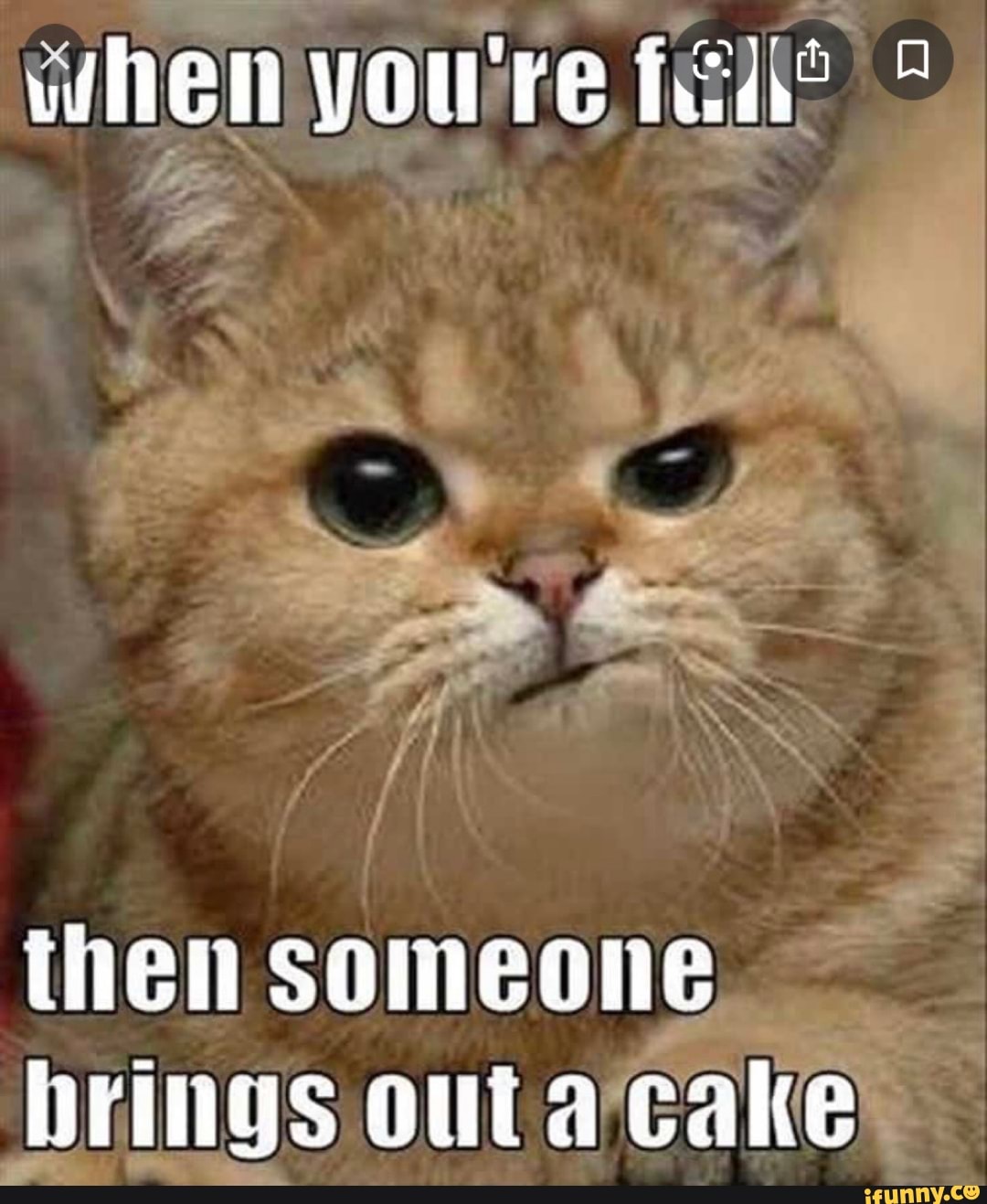 when youre fale =
then someone
brings out a'cakes