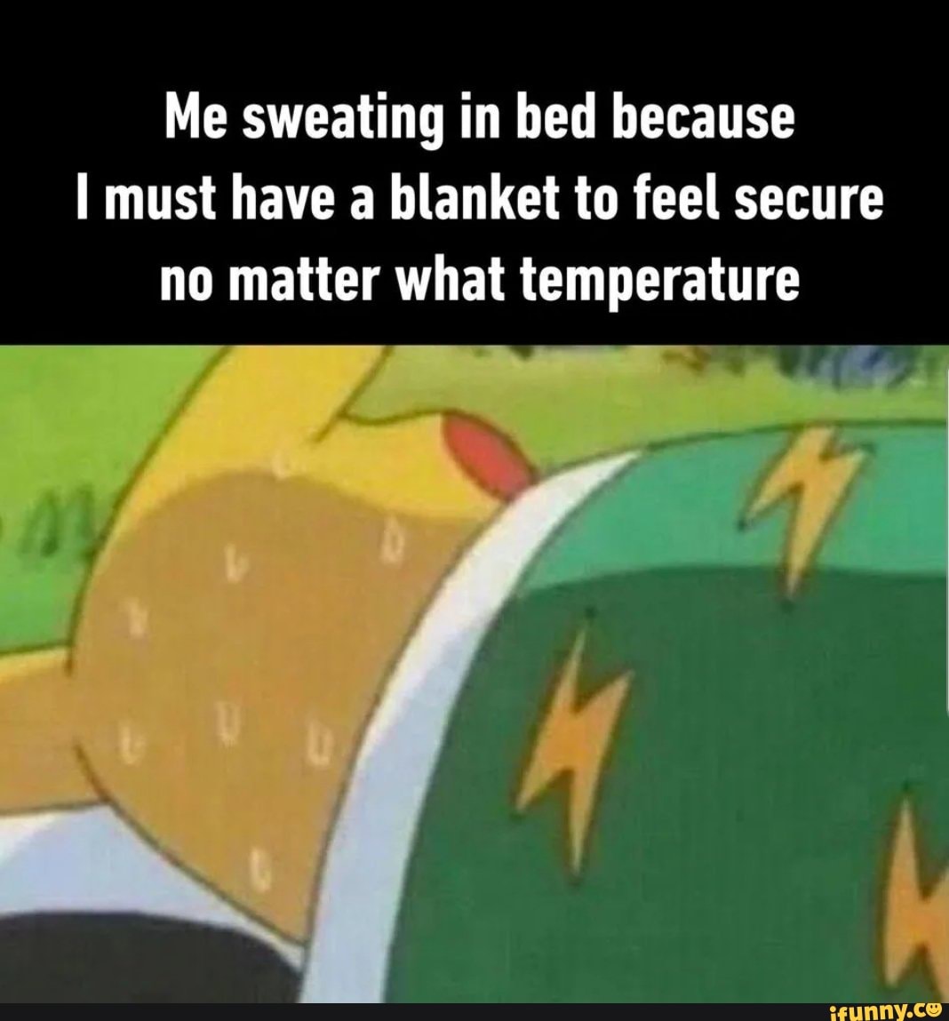 Me sweating in bed because I must have a blanket to feel secure no matter what temperature iFunny
