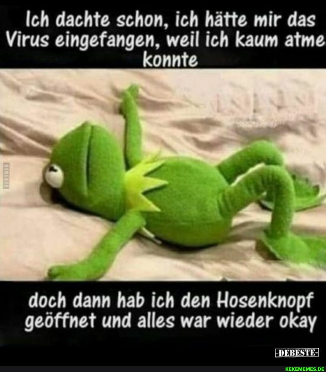 Ich dachte schon, ich hätte mir das
Virus eingefangen, weil ich kaum atme konnte
doch dann hab ich den Hosenknopf geöffnet und alles war wieder okay
FDEBESTE-