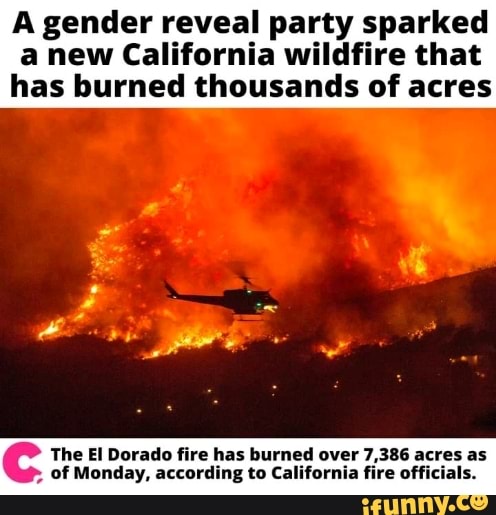 A gender reveal party sparked a new California wildfire that has burned ...