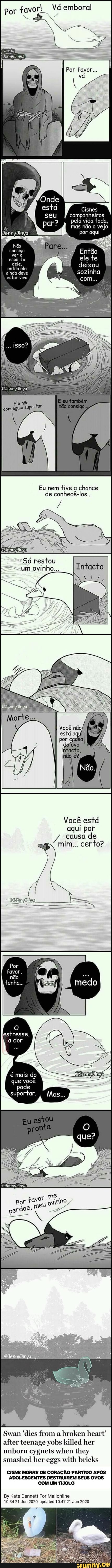Por favor! Vá Vá embora!
vá
Cisnes companheiros pela vida toda, mas não o vejo
por aqui
Não vero
Então ele te ele, ainda deve estar vivo deixou sozinha com...
consigo.,
Eu nem tive a chance de conhecê-los...
=Só restou um ovinho...
Você está
aqui por
/ causa de certo? mim... certo?
é mais do que você pode suportar.
mB
Swan 'dies from a broken heart after teenage yobs killed her unborn cygnets when they smashed her eggs with bricks
CISNE MORRE DE CORAÇÃO PARTIDO APÓS
ADOLESCENTES DESTRUIREM SEUS OVOS COM UM TIJOLO
By ate Dennett For Mailonline
1034 21 Jun 2020, updated 10 47 21 Jun 2020
