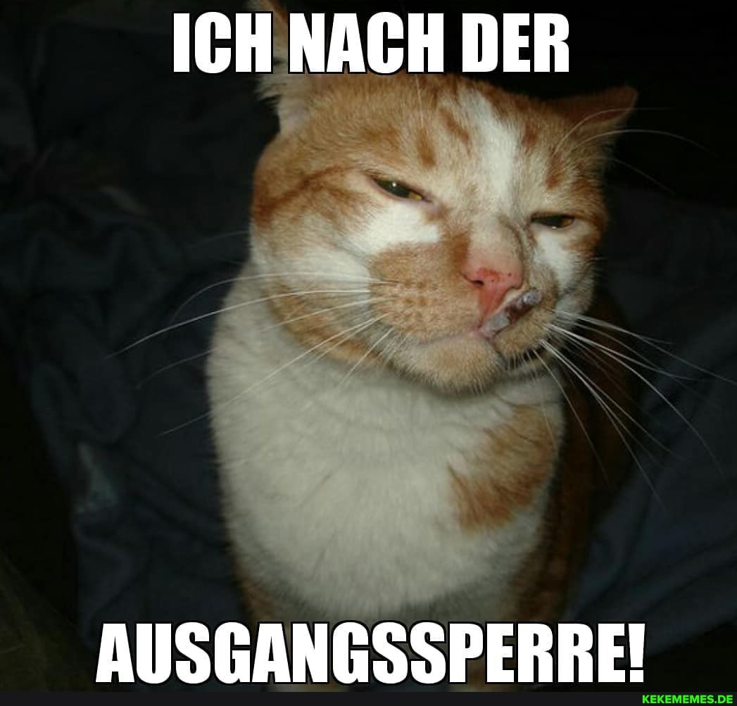 ICH NACH DER