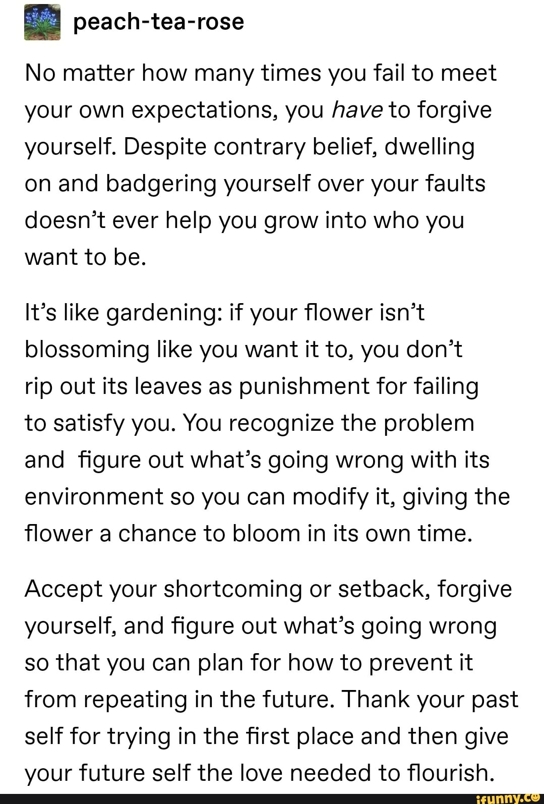 E peach-tea-rose
No matter how many times you fail to meet
your own expectations, you have to forgive
yourself. Despite contrary belief, dwelling
on and badgering yourself over your faults
doesn't ever help you grow into who you
want to be.
It's like gardening: if your flower isn't
blossoming like you want it to, you don't
rip out its leaves as punishment for failing
to satisfy you. You recognize the problem
and figure out what's going wrong with its
environment so you can modify it, giving the
flower a chance to bloom in its own time.
Accept your shortcoming or setback, forgive
yourself, and figure out what's going wrong
so that you can plan for how to prevent it
from repeating in the future. Thank your past
self for trying in the first place and then give
your future self the love needed to flourish.