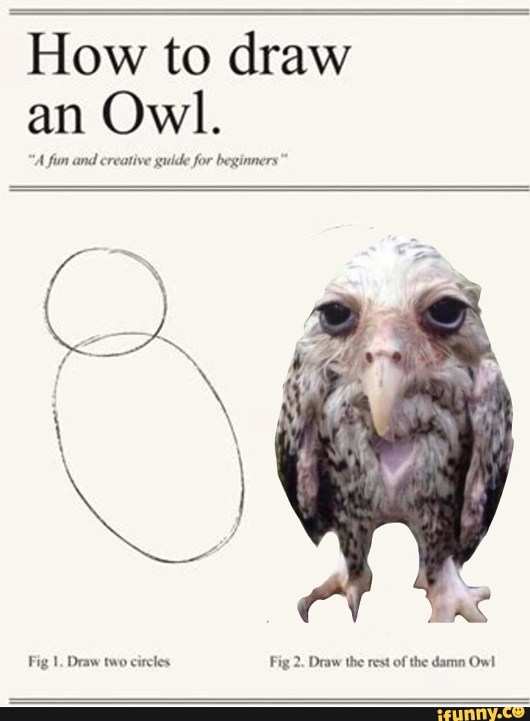 I hate this stupid fucking owl it haunts every part of my life How to
