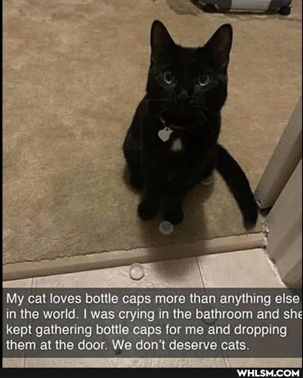 My cat loves bottle caps more than anything else in the world. I was crying in the bathroom and she kept gathering bottle caps for me and dropping them at (he door. We don't deserve cats.