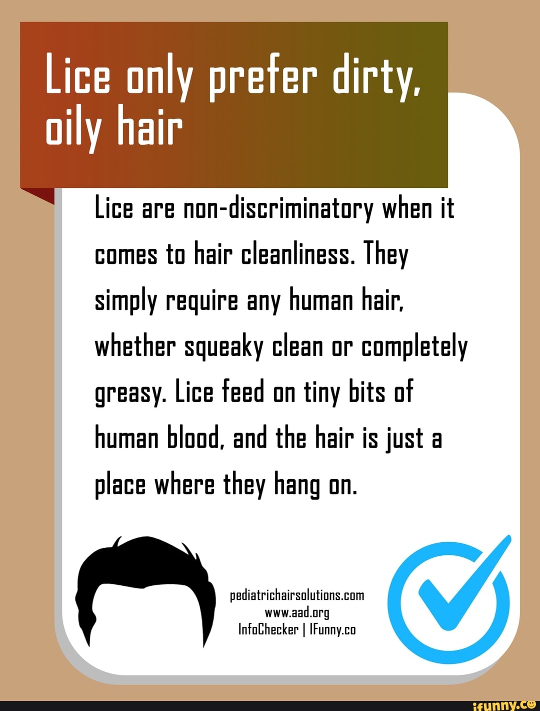 Lice only preter dirty, oily hair Lice are nondiscriminatory when it