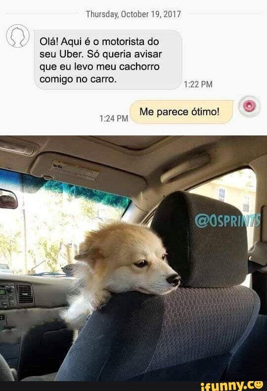 ctober 19, 2017
Olá! Aqui é o motorista do seu Uber. Só queria avisar que eu levo meu cachorro comigo no carro.
Me parece ótimo!
PM