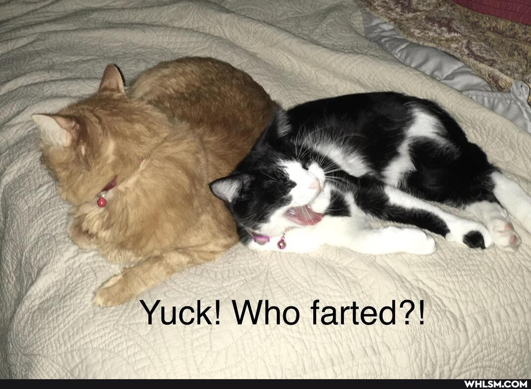 Yuck! Who farted?!