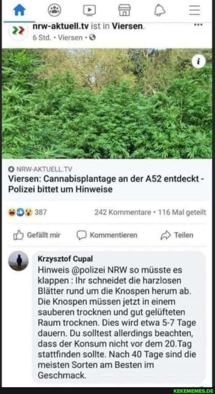 oo =
nrw-aktuell.tv ist in Viersen
6 Std. Viersen
NRW TV Viersen: Cannabisplantage an der entdeckt -
Polizei bittet um Hinweise
387 242 Kommentare 116 Mal geteilt
Gefällt mir Kommentieren Teilen
Krzysztof Cupal
Hinweis @polizei NRW so müsste es klappen : Ihr schneidet die harzlosen
Blätter rund um die Knospen herum ab.
Die Knospen müssen jetzt in einem sauberen trocknen und gut gelüfteten
Raum trocknen. Dies wird etwa 5-7 Tage dauern. Du solltest allerdings beachten, dass der Konsum nicht vor dem 20.Tag stattfinden sollte. Nach 40 Tage sind die meisten Sorten am Besten im
Geschmack.