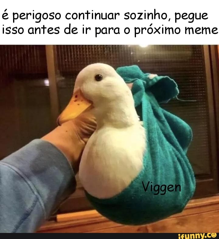 perigoso continuar sozinho, pegue isso antes de ir para o próximo meme
Viggen