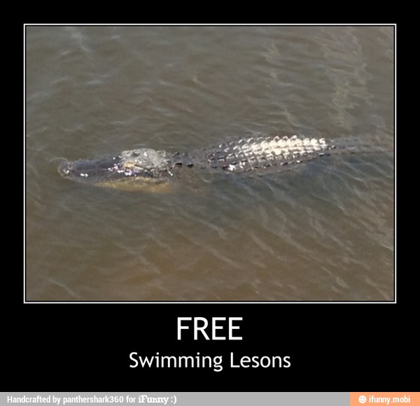 FREE
Swimming Lesons - FREE
Swimming Lesons