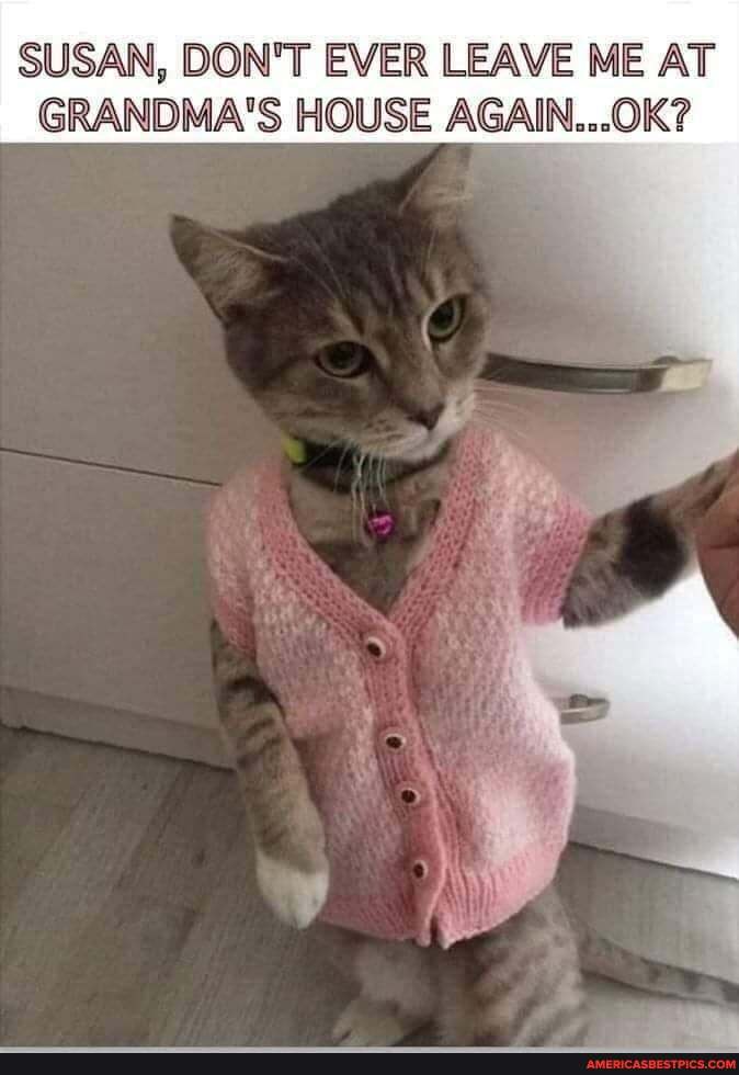 SUSAN, DON'T EVER LEAVE ME AT GRANDMA'S HOUSE AGAIN...OK?