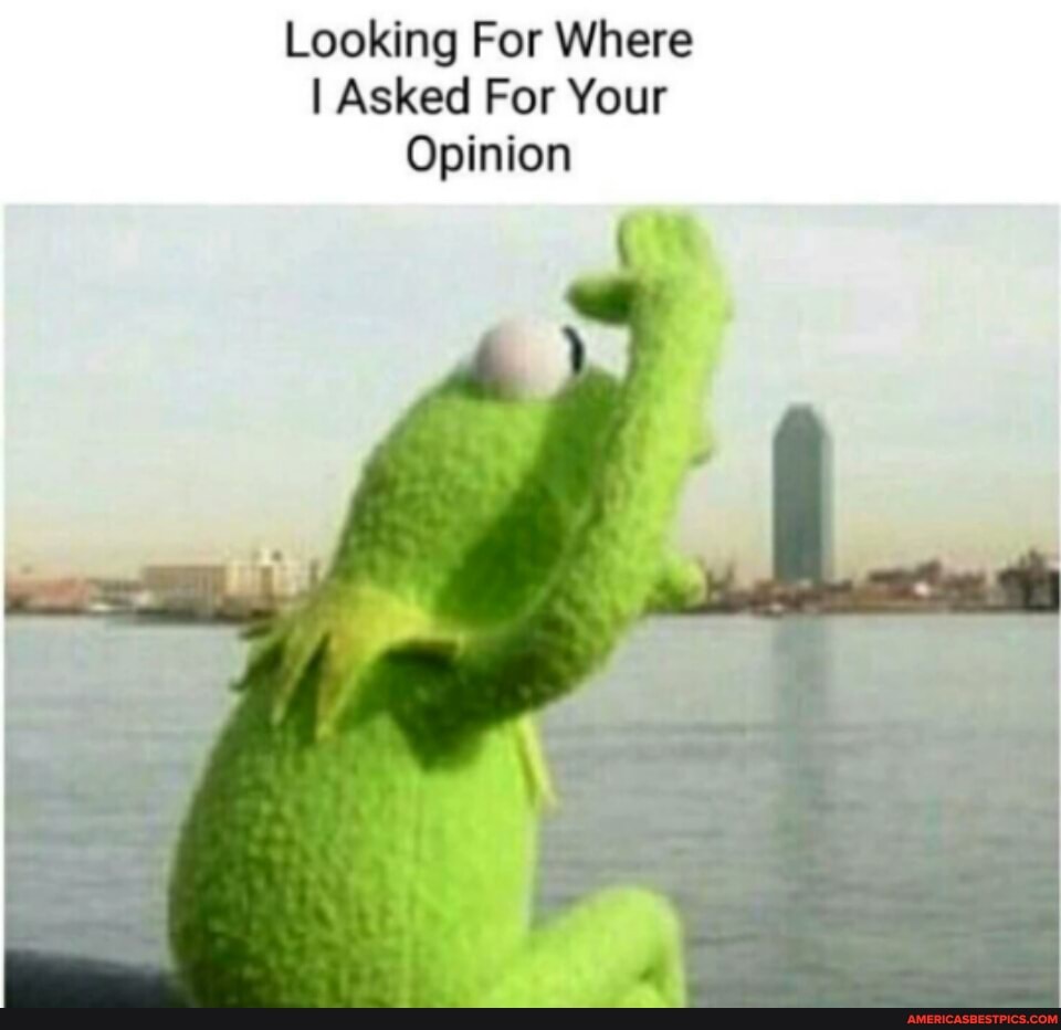 Looking For Where
I Asked For Your
Opinion