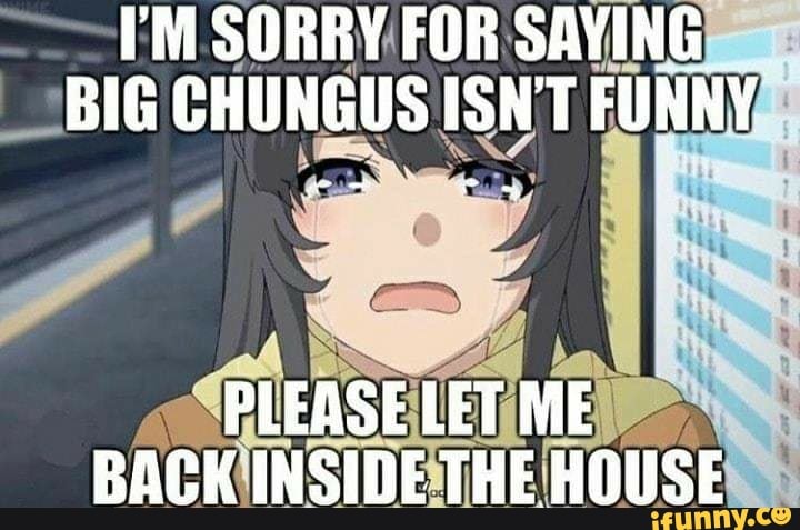 PM SORRY FOR SAVING
