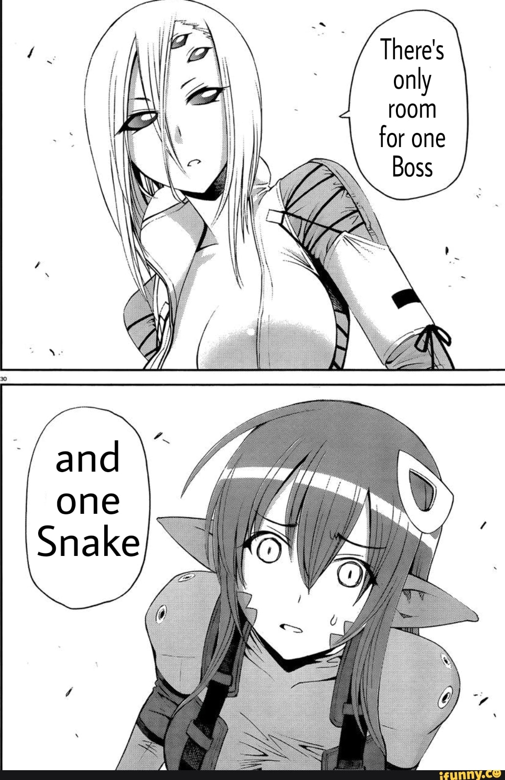 Monster Musume memes 