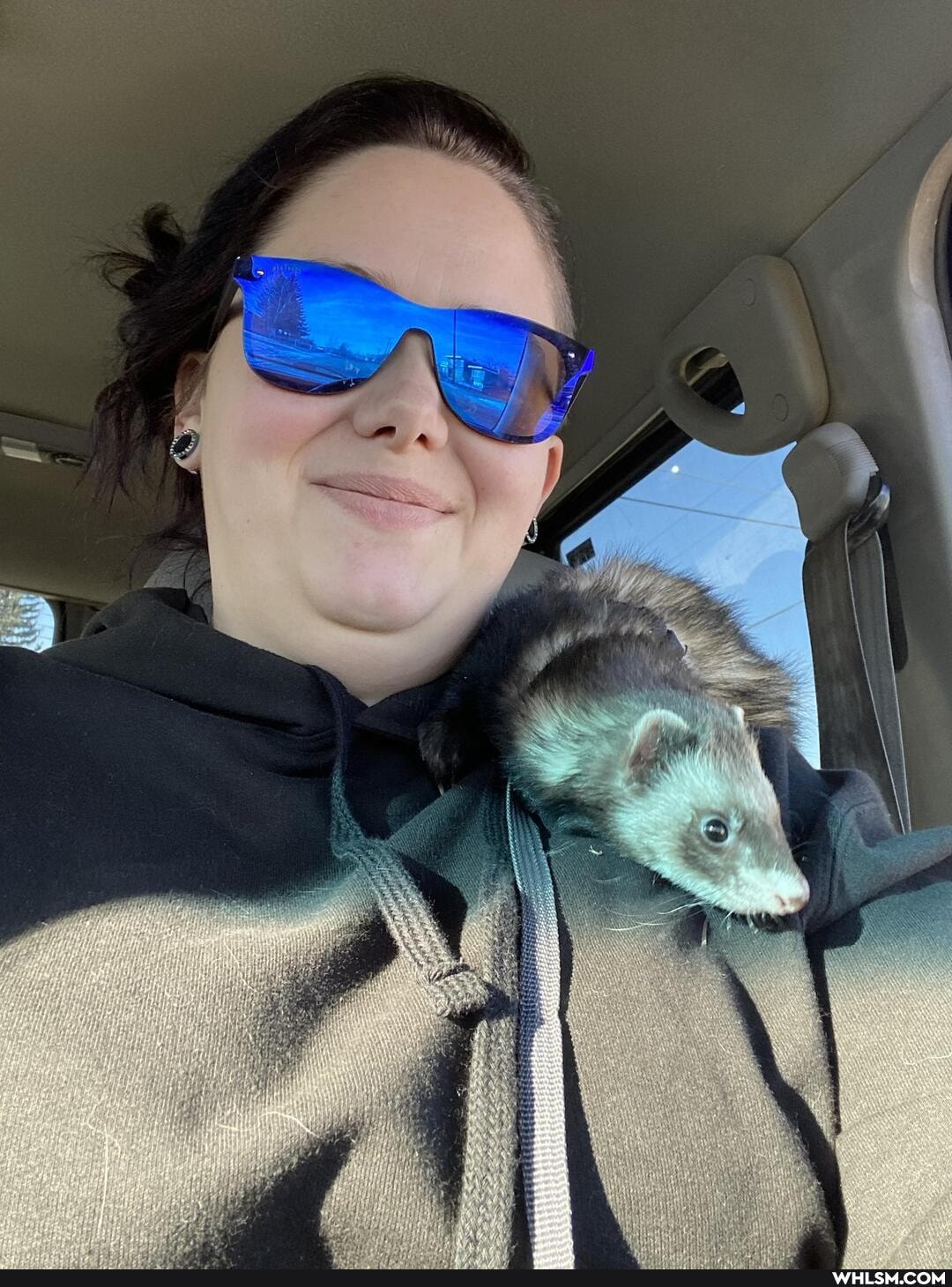 ferret, happiness, christmas_selfie, whereiswinter