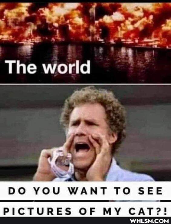 wy
The world
DO YOU WANT TO SEE
Me
