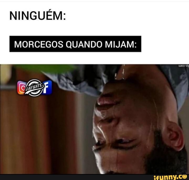 NINGUÉM:
MORCEGOS QUANDO MIJAM: