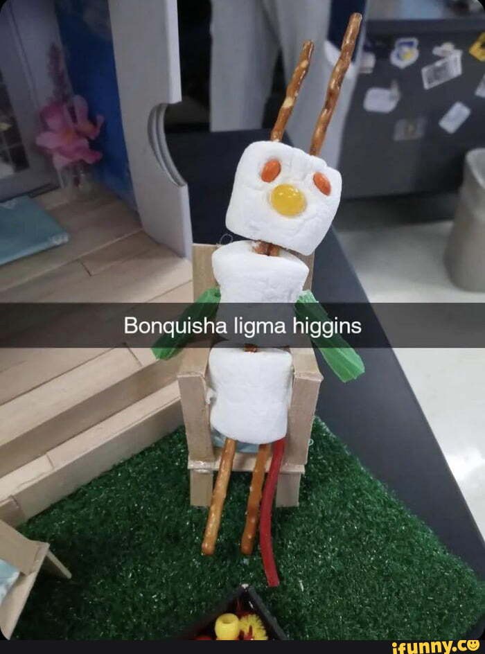 Bonquisha memes. Best Collection of funny Bonquisha pictures on iFunny