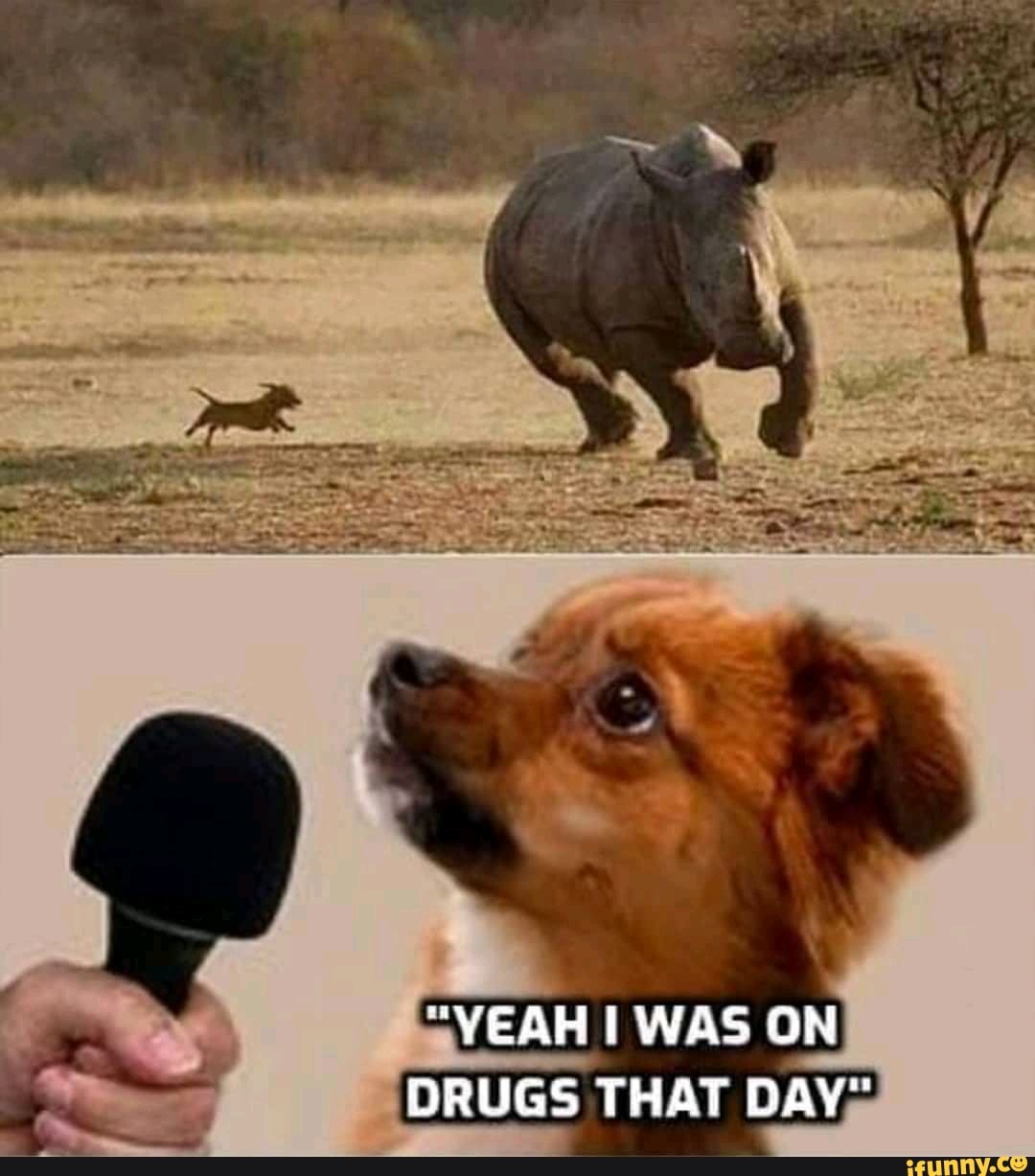 "YEAH I WAS ON DRUGS THAT DAY"
