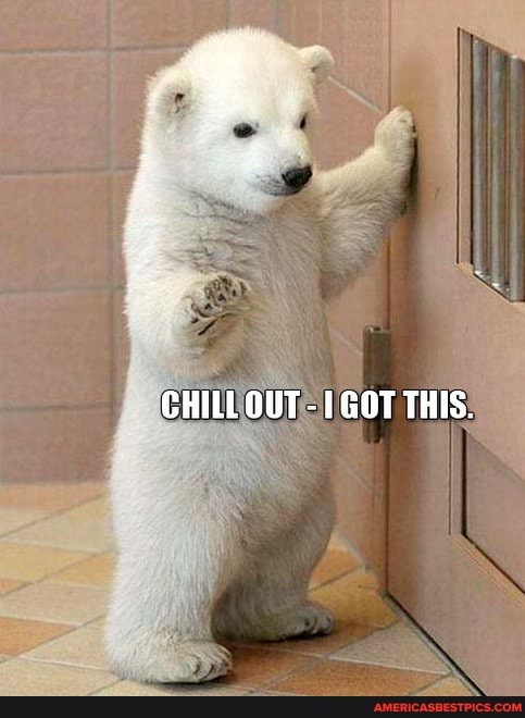 CHILL OUT - I GOT THIS.