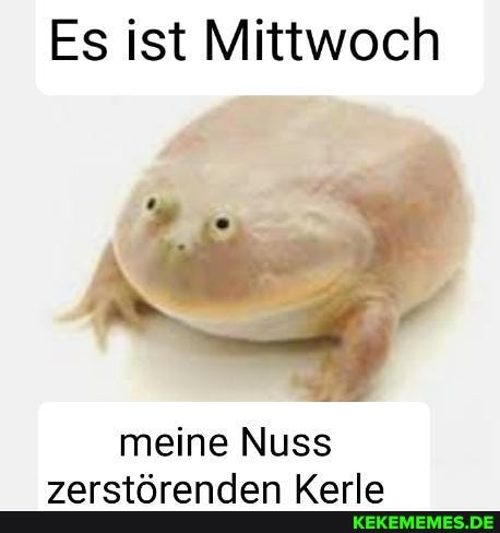 Es ist Mittwoch
meine Nuss