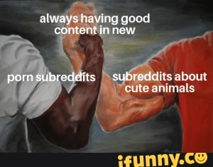 Always having good content in new subreddits about cute animals porn