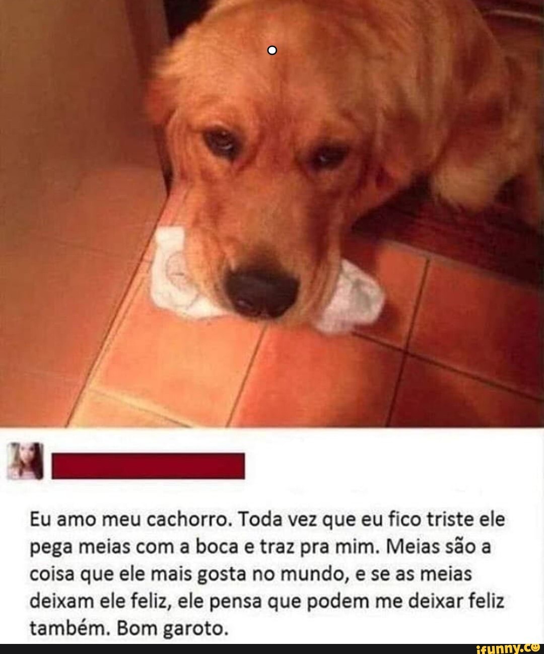 pena
Eu amo meu cachorro. Toda vez que eu fico triste ele
pega meias com a boca e traz pra mim. Meias são a
coisa que ele mais gosta no mundo, e se as meias
deixam ele feliz, ele pensa que podem me deixar feliz
também. Bom garoto.