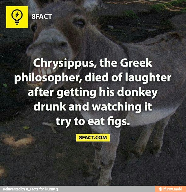 Chrysippus, the Greek philosopher, died of laughter after getting his