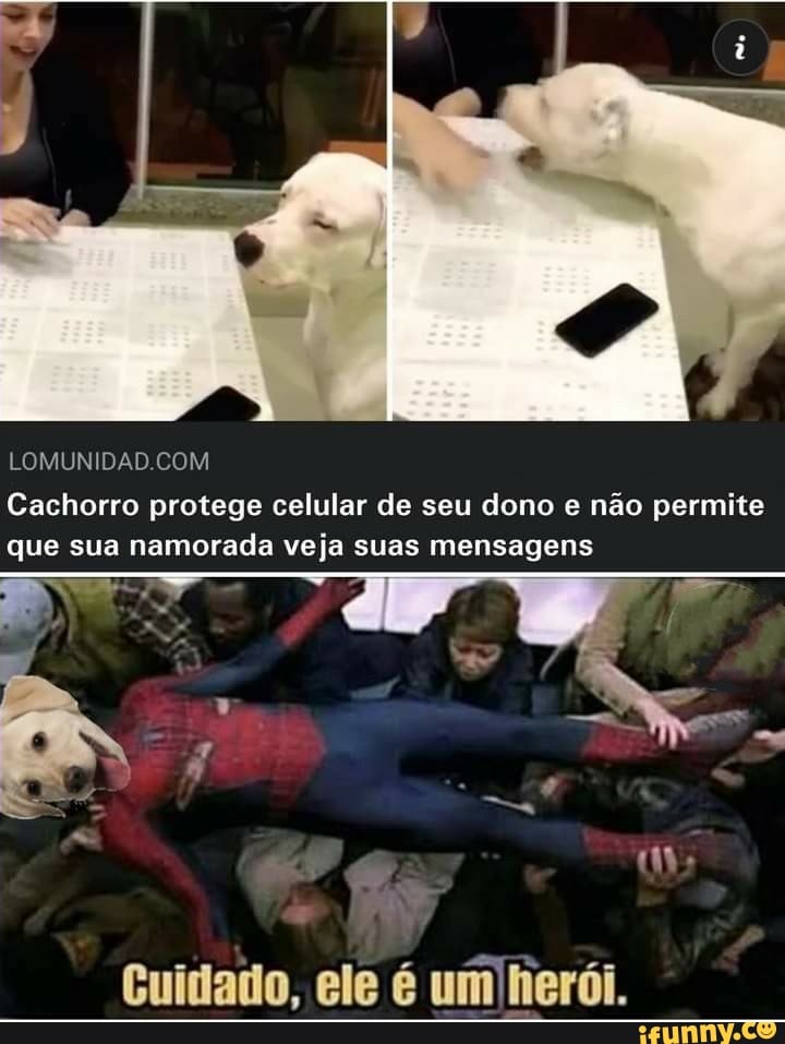 Cachorro protege celular de seu dono e não permite que sua namorada veja suas mensagens
Cuidado, ele é um herói.