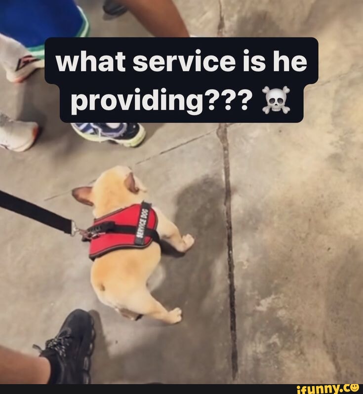 service dog meme